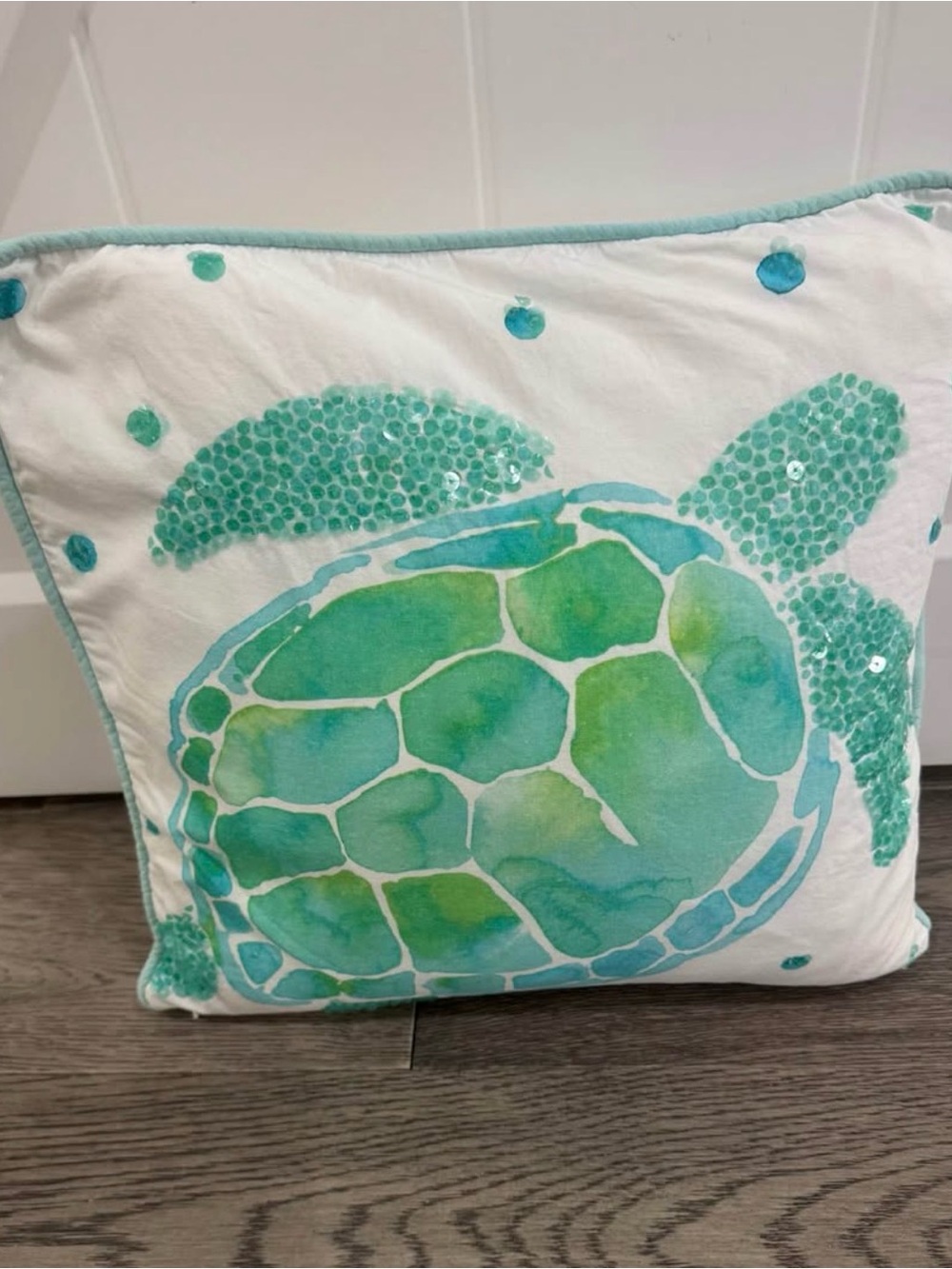 Pottery Barn Turtle Pillow + Insert